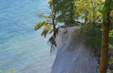 Ferienwohnung Mönchgut II - Foto 20