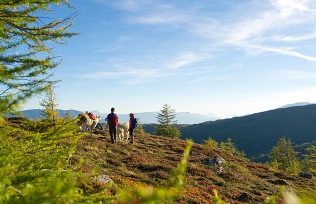 Katschberg Lodge - Foto 17