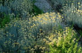 VILLA FELICE_UNESCO ALPS AREA - Foto 34