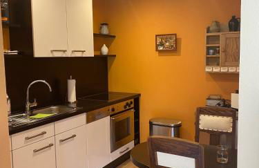 Weinrebe Oberhermsdorf nahe Dresden - Foto 6