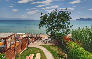 Stellar Blue Palio - Foto 10