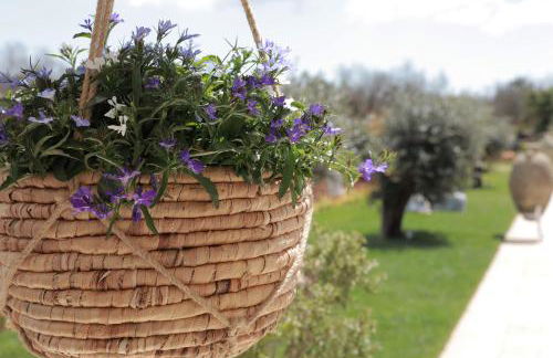 Tenuta Cesarina - Foto 42