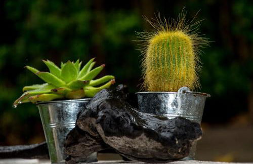 Estia guest house - Foto 56