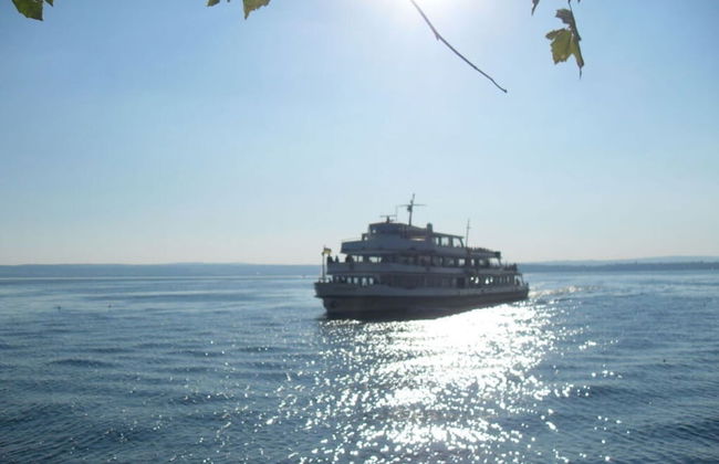 Villa Lake Constance View - Photo 15