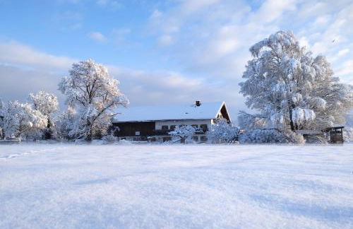 Zaissererhof - Foto 4