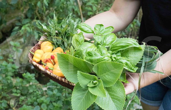 La Casa de Pio Pio - Foto 44