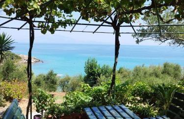 VILLA AGIA AIKATERINI - Foto 41