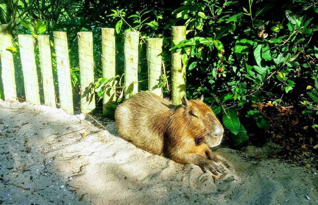 Prainha Hike & Grumari Day Trip - Photo 4