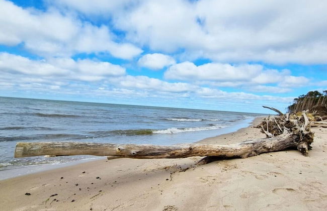 West Beach Modern Retreat - Foto 18