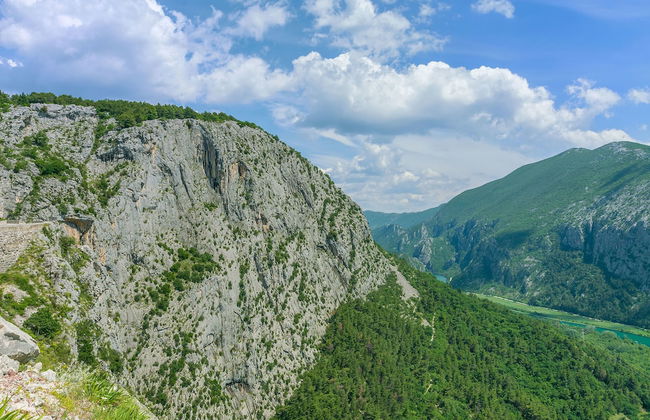 House Cattleya - Photo 31