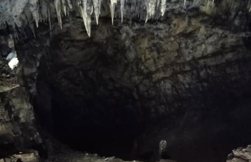 Apartman Domi - Foto 27