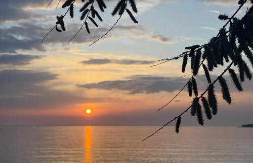 Biba Apartman - Foto 41