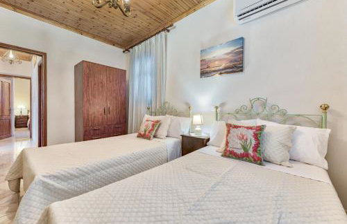 Sempreviva - Foto 33