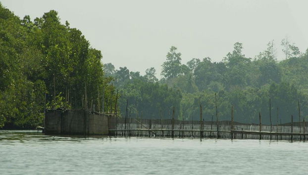 Journée complète à Galle avec la rivière de Balapitiya - Photo 5