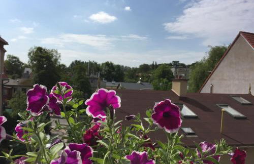 Chopina Loft - Foto 6