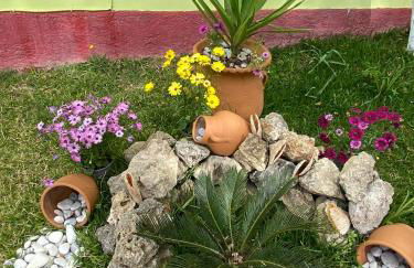 Teo & Niki - Foto 45