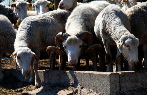 Quinta do Chãozinho - Photo 31