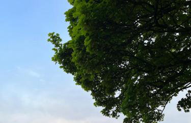 Unbox at Poplar Tree - Photo 48