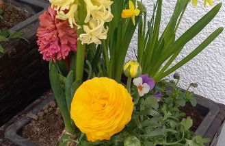 Ferienwohnungen beim Sommermader - Foto 42