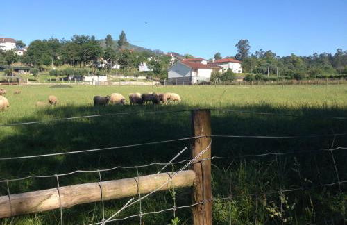 Casa do Avô - Foto 50