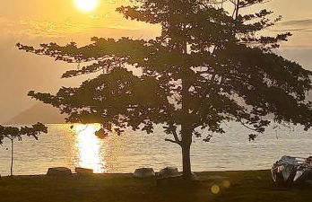 Recanto J&R - Foto 11