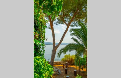 Natali's Villa by the sea - Foto 14