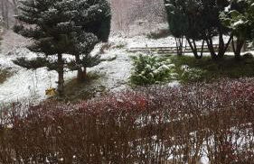 Monteurwohnung Aroba - Foto 45