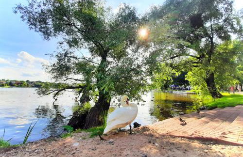 Apartment Aqua Marina - Lake, Nature and Relax! - Foto 41