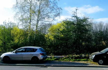 Leineblick - Foto 29