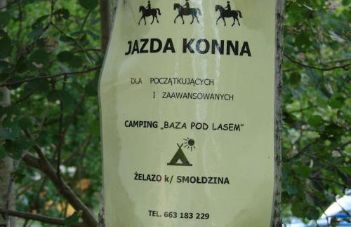 Agroturystyka Pod Kogutkiem - Foto 9