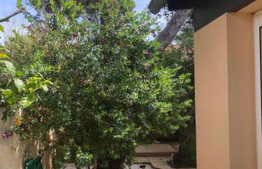 Maison bord de mer climatisée La Capte , Hyères - Foto 20