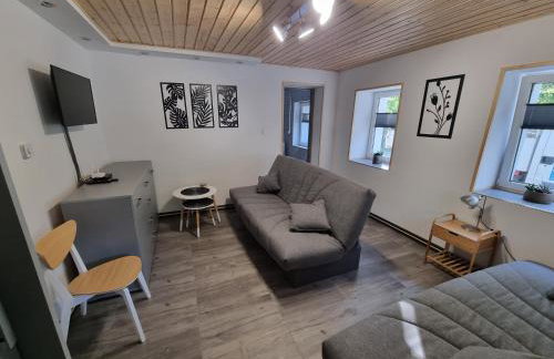 Apartamenty Salamandra - Foto 10