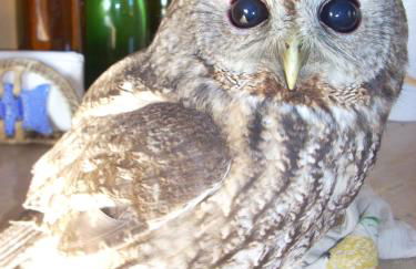 Agriturismo Le Roghete - Foto 70