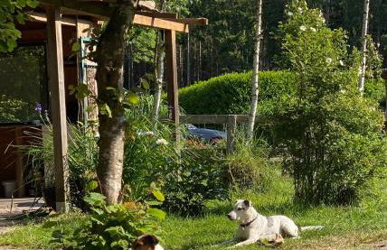 Wunderschöne Ferienwohnung zwischen Bremen und Hamburg - Foto 12