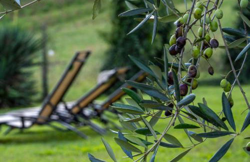 Villa Oliviana - Foto 13