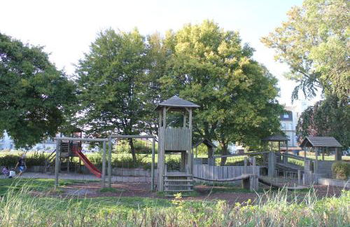 Silbermöwe im Kirschgarten - Foto 41