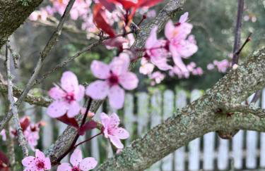 Alcarria , Casa del Agua - Foto 14