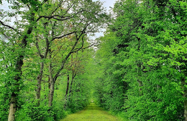 Superb Holiday Home With Garden in Serinchamps - Foto 36