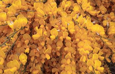 Casa das 5 Cruzes dentro da muralha - Foto 70