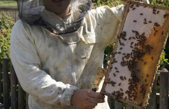 Bushof - Leben auf dem Land - Foto 30