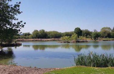 Walnut Lodge, Summerhayes - Foto 8