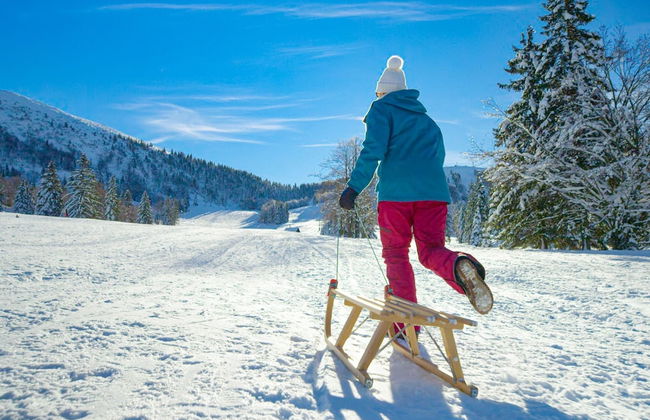 Farmhouse Raspberry Pool Wellness - Photo 38