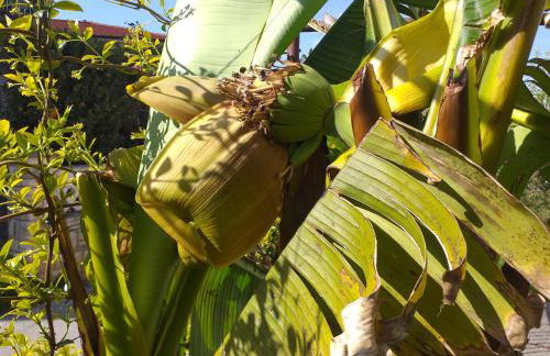 Levak Apartments - Apt.3 - Photo 26