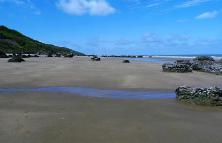 Plazza front de Mer - Photo 32