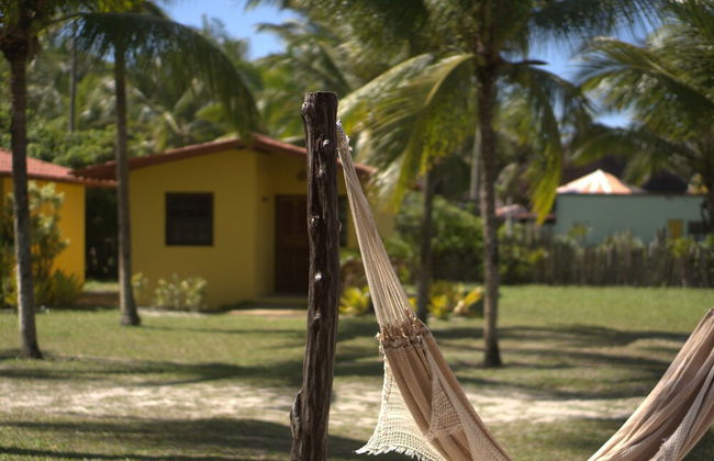 TOKAYA CLUB - Foto 33