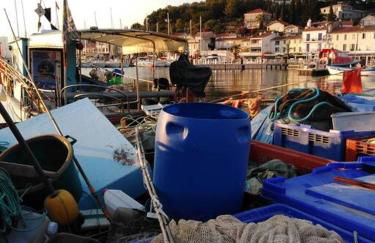Le petit havre de mer, climatisé avec vue mer - Photo 17