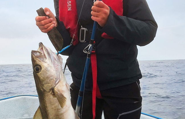 6 Person Holiday Home in Byrknesoy-by Traum - Foto 12