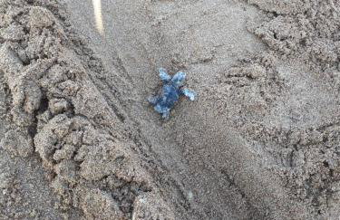 Mina Apartments - Foto 8