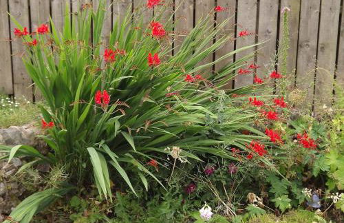 The Old Dairy - Foto 11