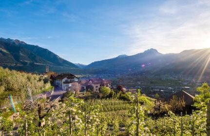 Weingut Pardellerhof - Foto 14